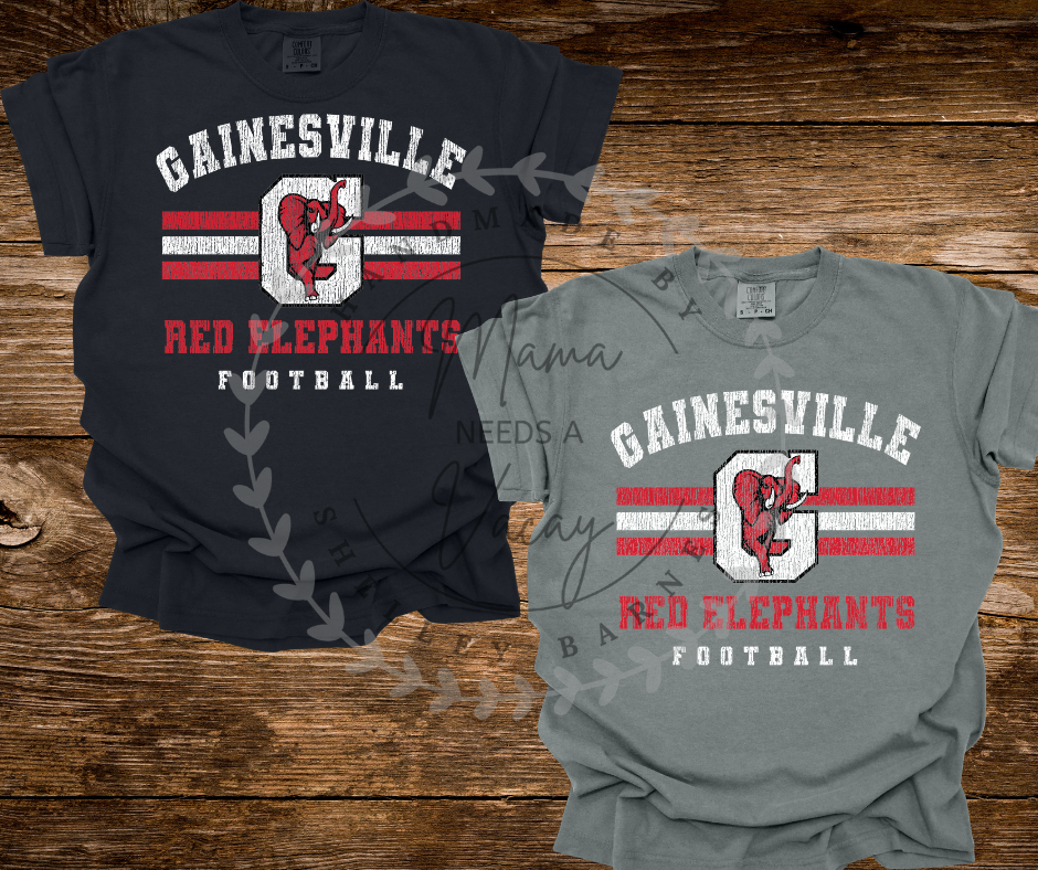 Gainesville Vintage Stripe Spirit Wear