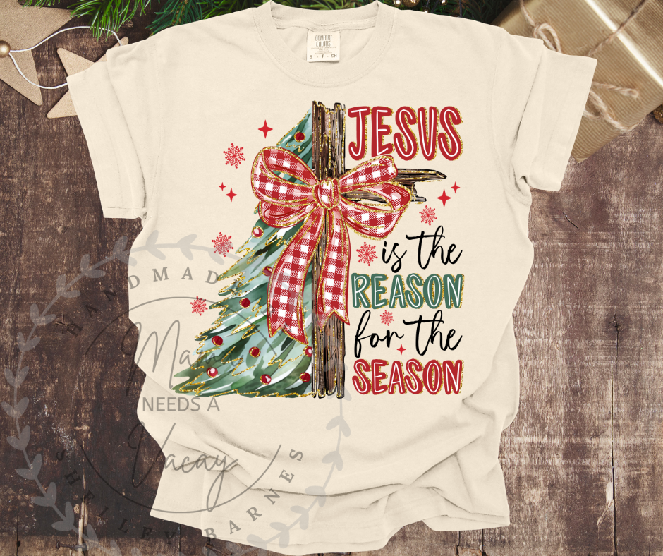 Jesus is the Reason